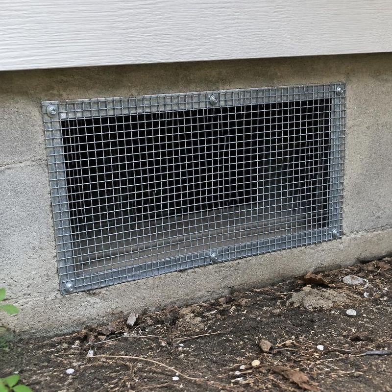 Acme Pest Solutions Brampton